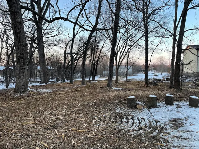 Central Tree — customer photo 9