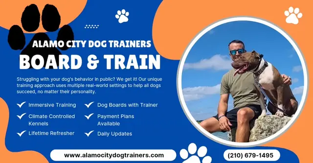 Alamo City Dog Trainers — photo from the business 3
