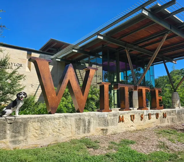 Alamo City Dog Trainers — photo from the business 5