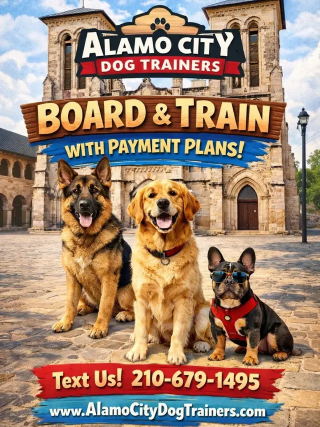 Alamo City Dog Trainers — photo from the business 1