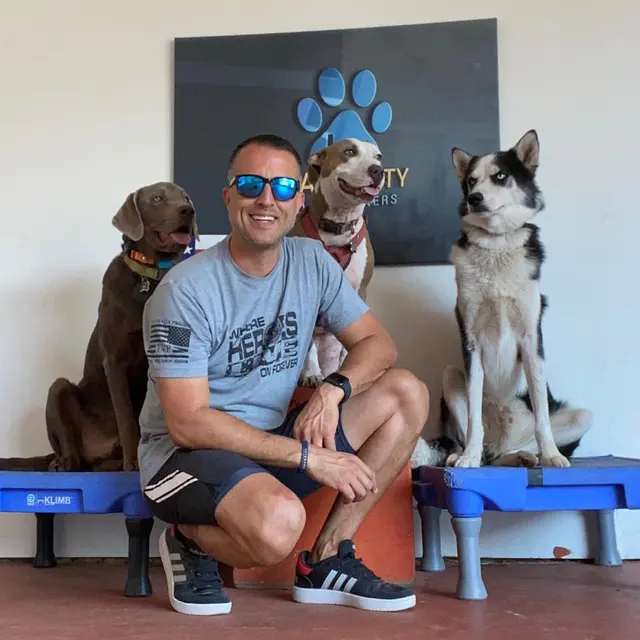 Alamo City Dog Trainers — photo from the business 12