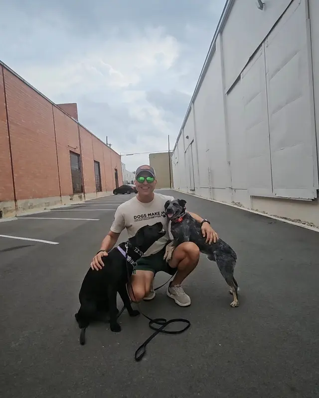 Alamo City Dog Trainers — photo from the business 4