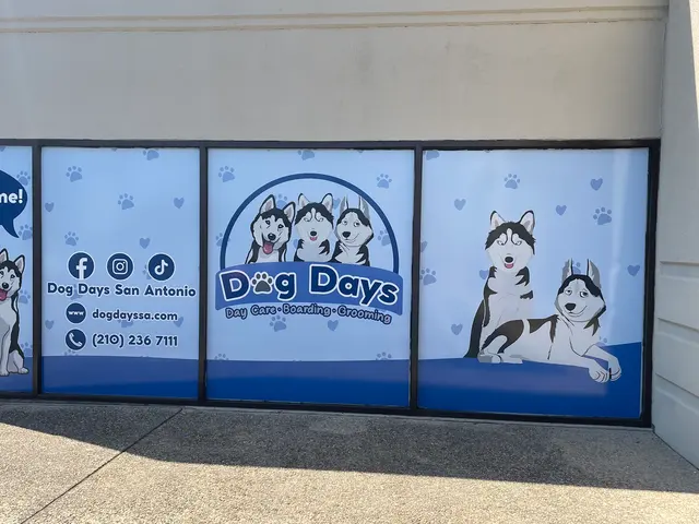 Dog Days San Antonio — photo from the business 1