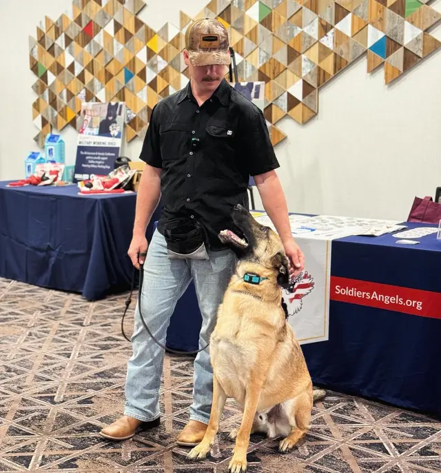 Xcaliber Dog Training — photo from the business 9