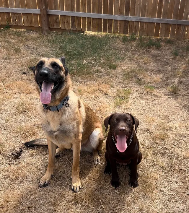 Xcaliber Dog Training — customer photo 12