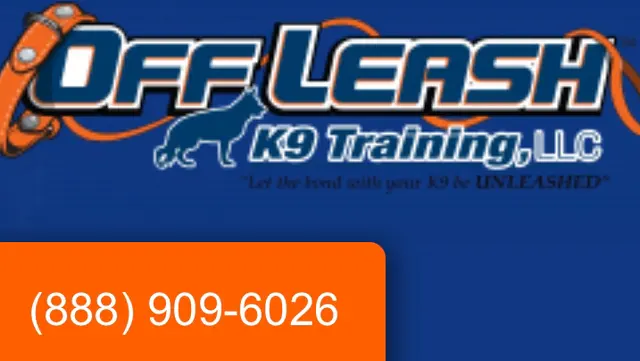 Off Leash K9 Training San Antonio — photo from the business 1