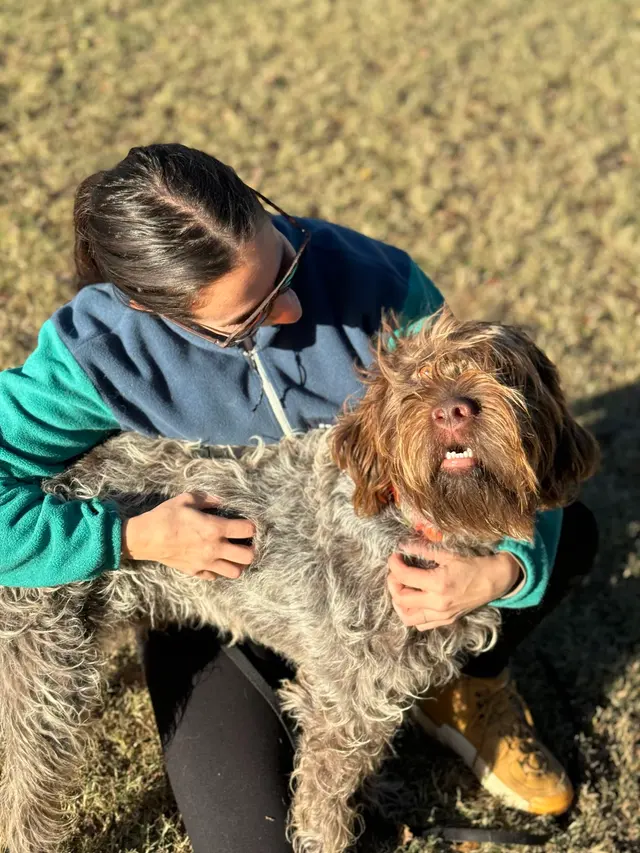 Off Leash K9 Training San Antonio — photo from the business 4