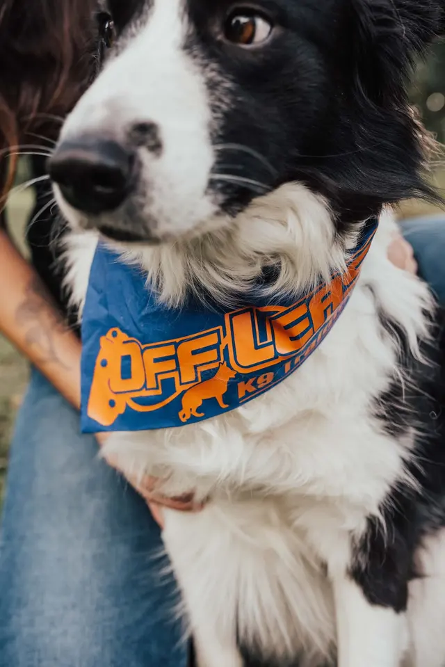 Off Leash K9 Training San Antonio — photo from the business 7