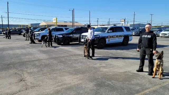 JIREH K9 Training Academy — photo from the business 5