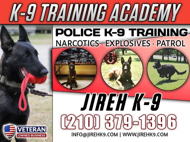 JIREH K9 Training Academy — photo from the business 2