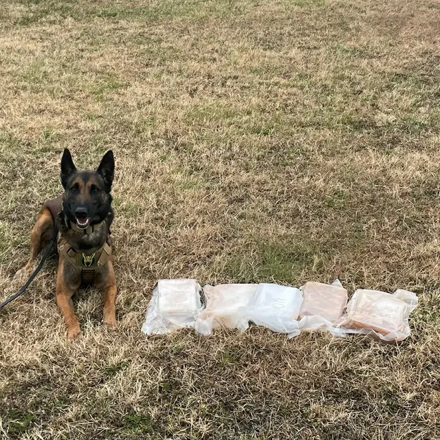 JIREH K9 Training Academy — photo from the business 3