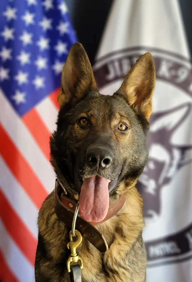 JIREH K9 Training Academy — photo from the business 1