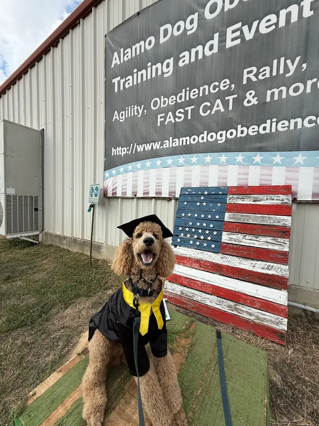 Alamo Dog Obedience Club, Inc — customer photo 5