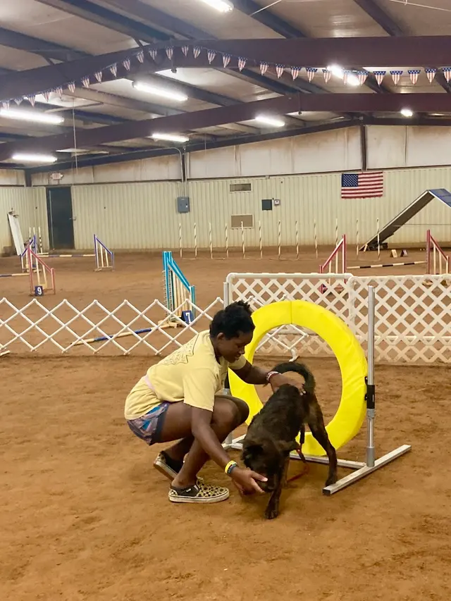 Alamo Dog Obedience Club, Inc — customer photo 2