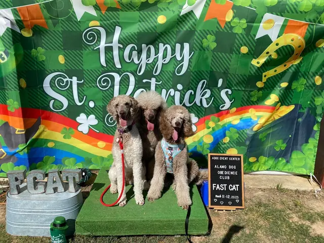 Alamo Dog Obedience Club, Inc — photo from the business 8