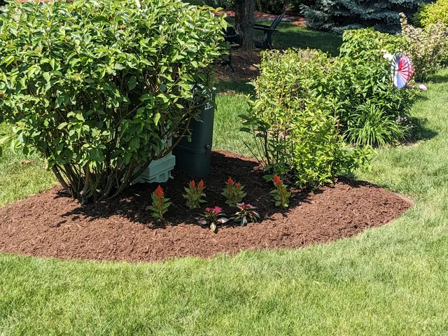 Delapaz Lawn Care and Tree Service — customer photo 2