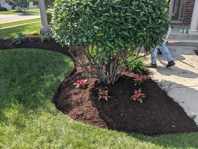 Customer photo of work by Delapaz Lawn Care and Tree Service, from Dennis's review
