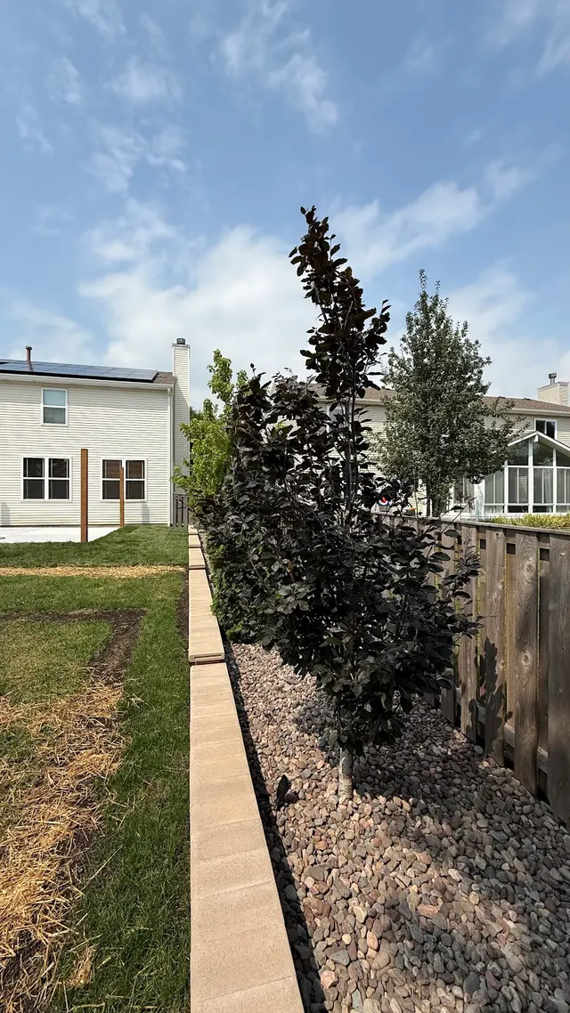 Customer photo of work by Delapaz Lawn Care and Tree Service, from Joe's review