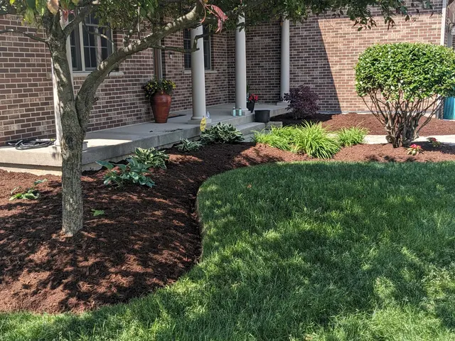 Customer photo of work by Delapaz Lawn Care and Tree Service, from Dennis's review