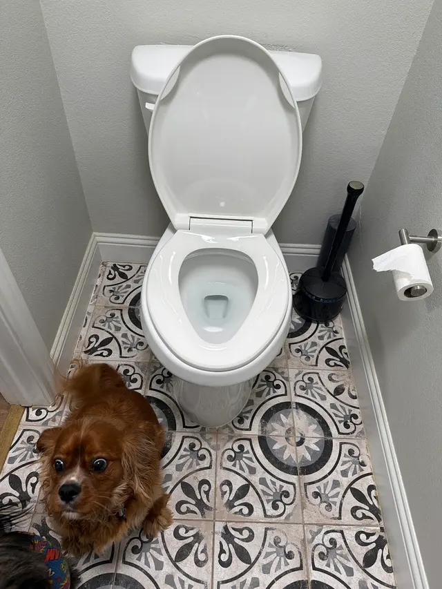 Customer photo of work by Service Squad Plumbing, from Hunter Brown's review
