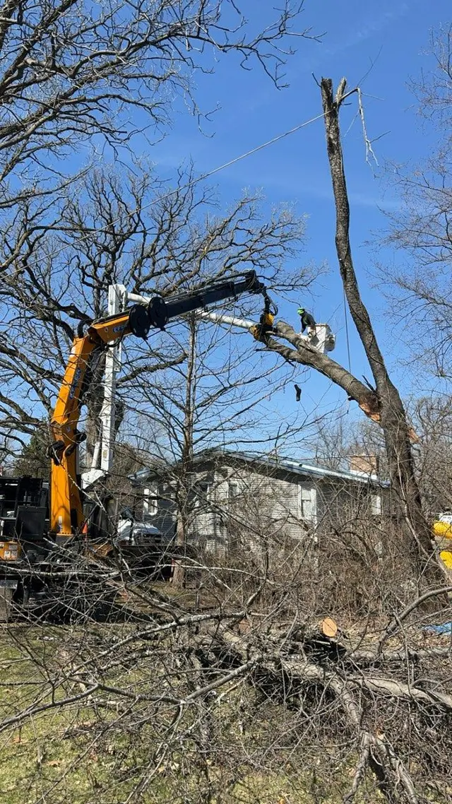 Minnihan's Tree Service — photo from the business 1