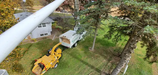 Minnihan's Tree Service — photo from the business 12