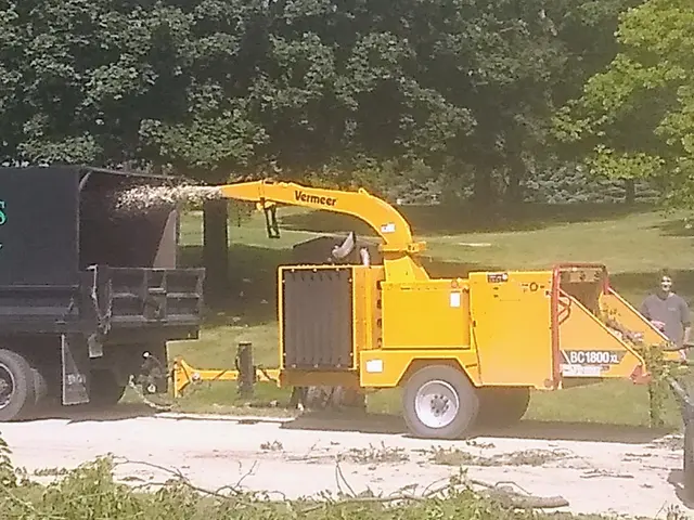 Minnihan's Tree Service — customer photo 4