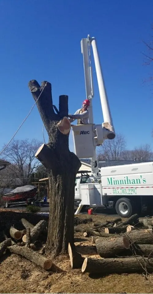 Minnihan's Tree Service — photo from the business 3