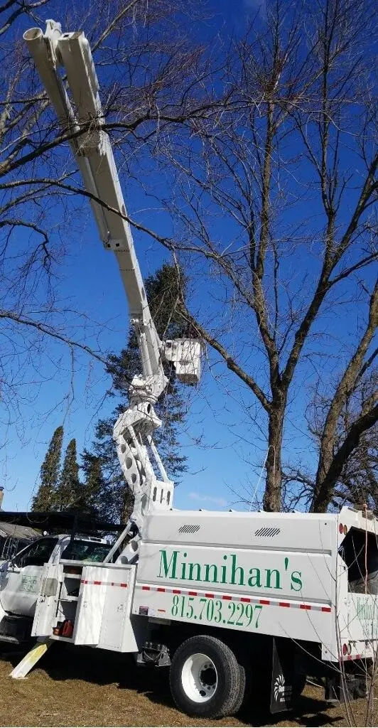 Minnihan's Tree Service — photo from the business 10