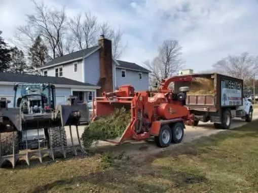 Timbermen Tree Service — photo from the business 6