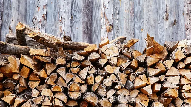 Timbermen Tree Service — photo from the business 1