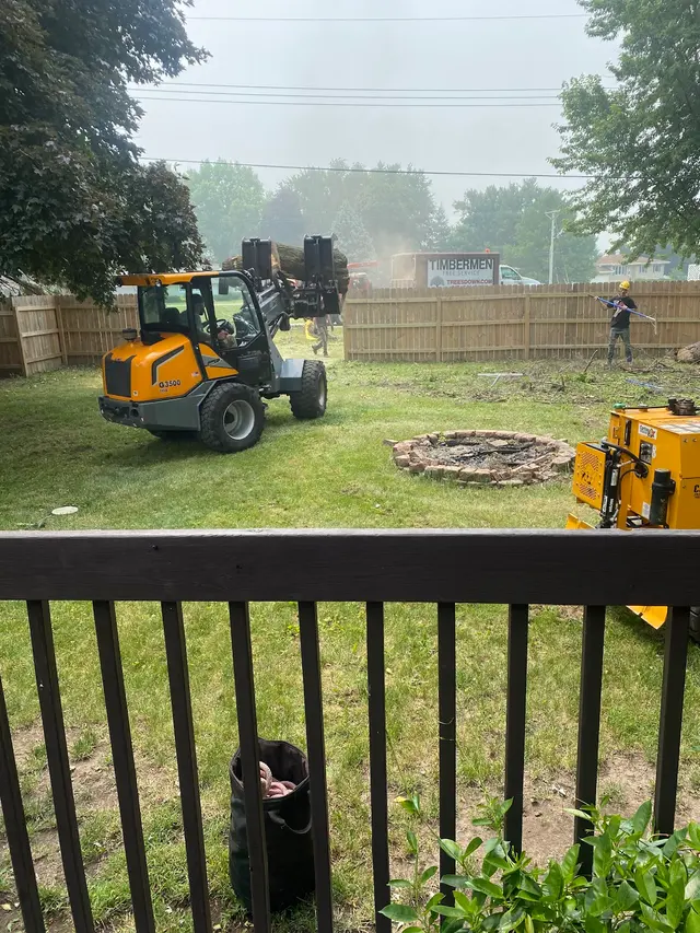Timbermen Tree Service — customer photo 5