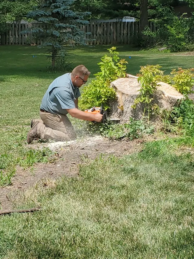 Timbermen Tree Service — photo from the business 2