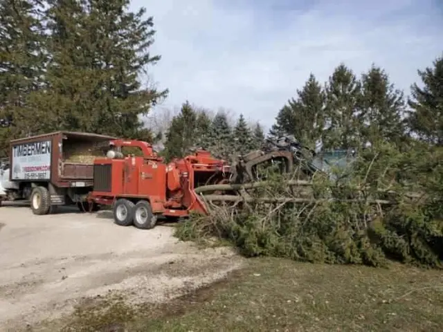 Timbermen Tree Service — photo from the business 9