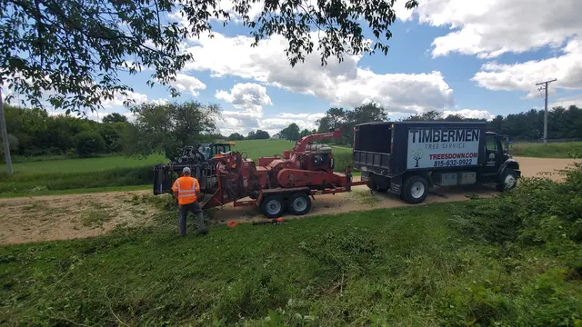 Timbermen Tree Service — photo from the business 7