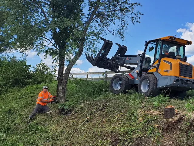 Timbermen Tree Service — photo from the business 8