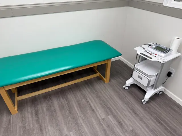 Detroit Chiropractic Clinic — photo from the business 6