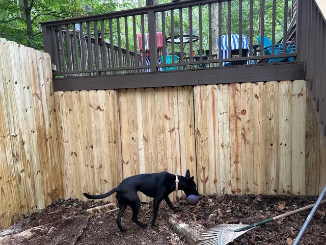 J&B Fence Builders — customer photo 8