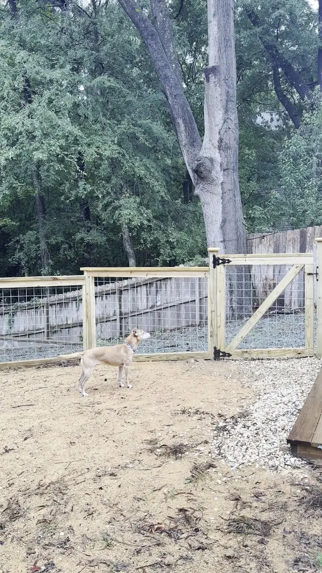 J&B Fence Builders — customer photo 7