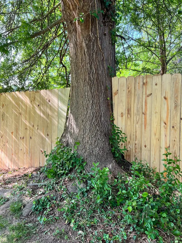 Raleigh Fence Builders LLC — customer photo 6