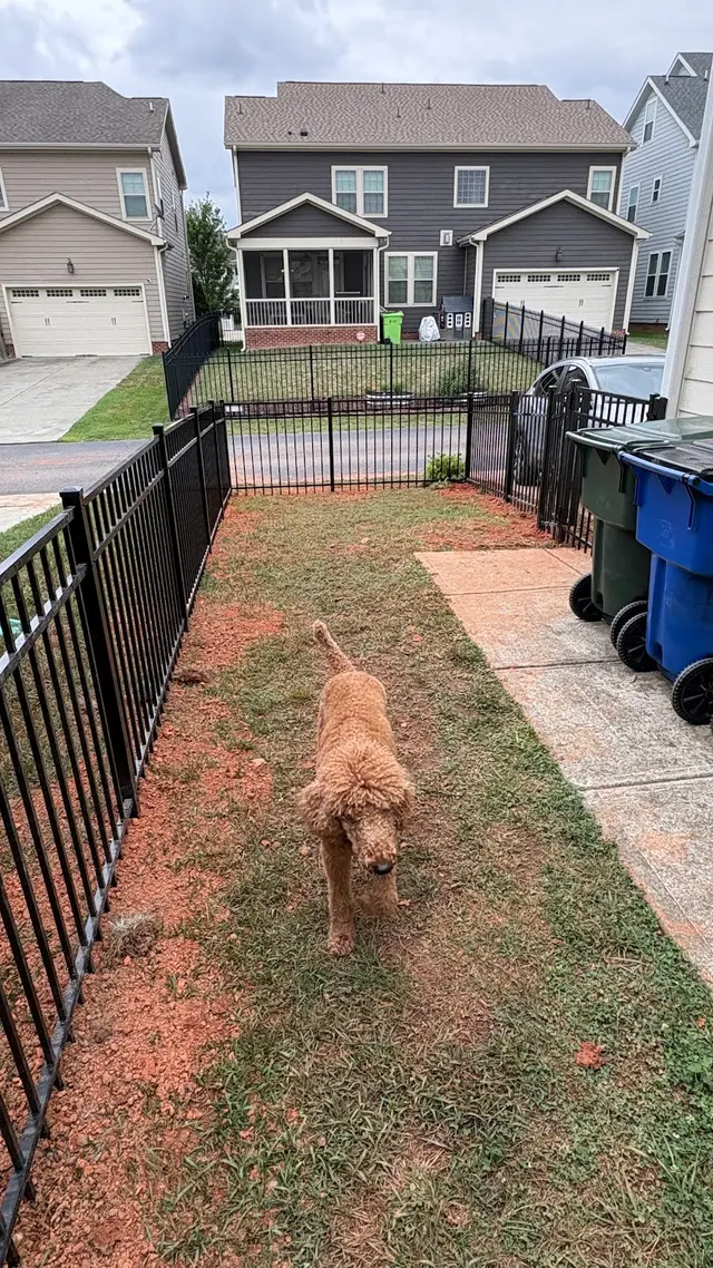 Raleigh Fence Builders LLC — customer photo 3