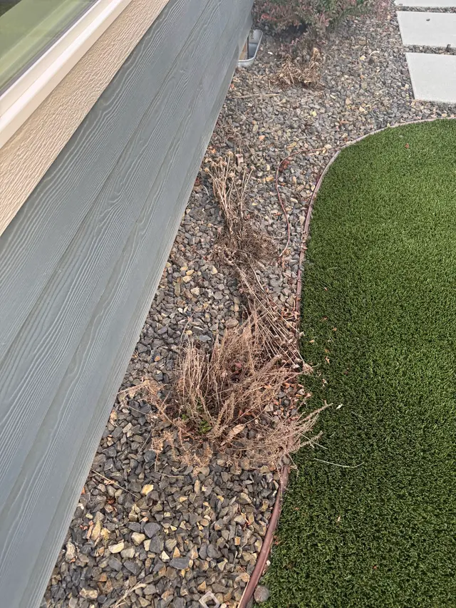 Customer photo of work by Brighton Homes, from San Wen's review