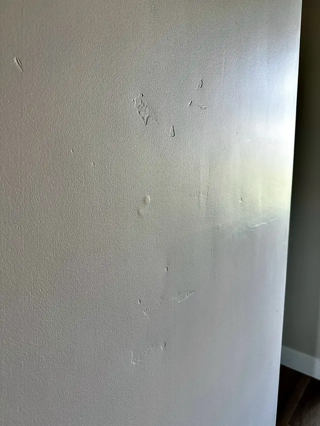 Customer photo of work by Alturas Homes, from Clint's review