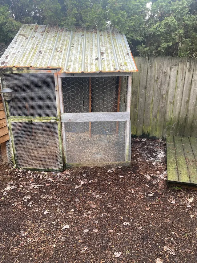 Wallys Junk Removal Service — customer photo 8