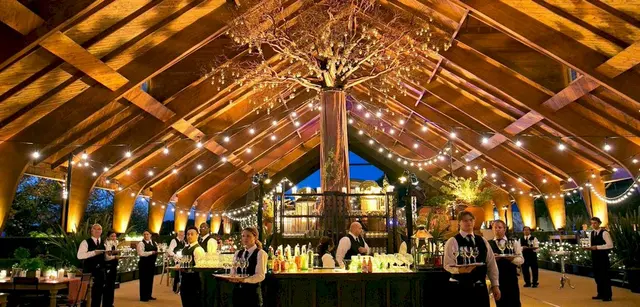 Mandy Scott Events — photo from the business 1