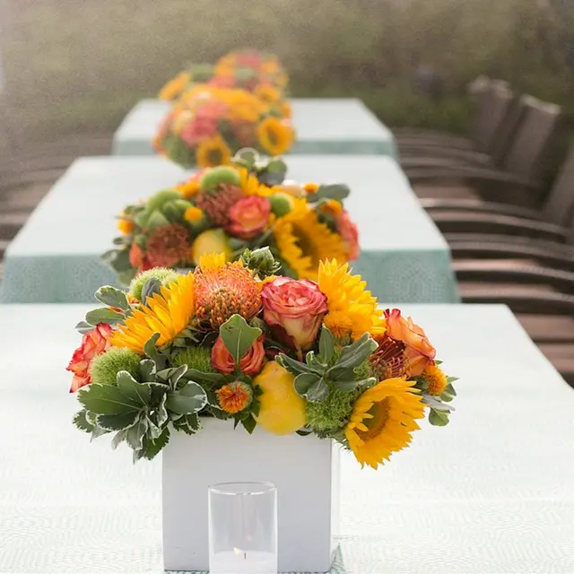 Mandy Scott Events — photo from the business 11
