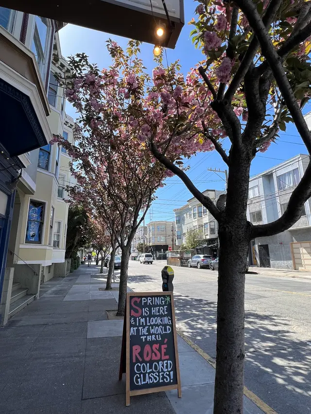 The Castroof — customer photo 8