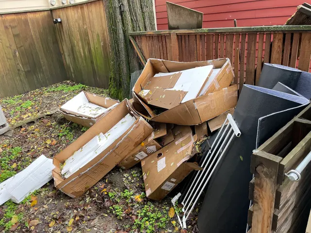 Affordable Junk Removal — photo from the business 6