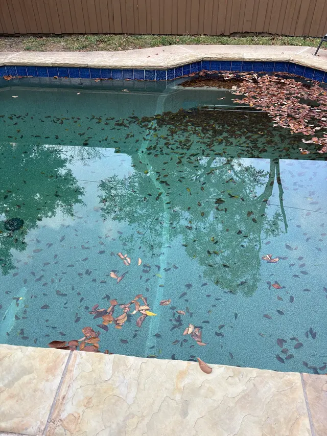 Mr. Pool Leak Repair - Dallas — photo from the business 5