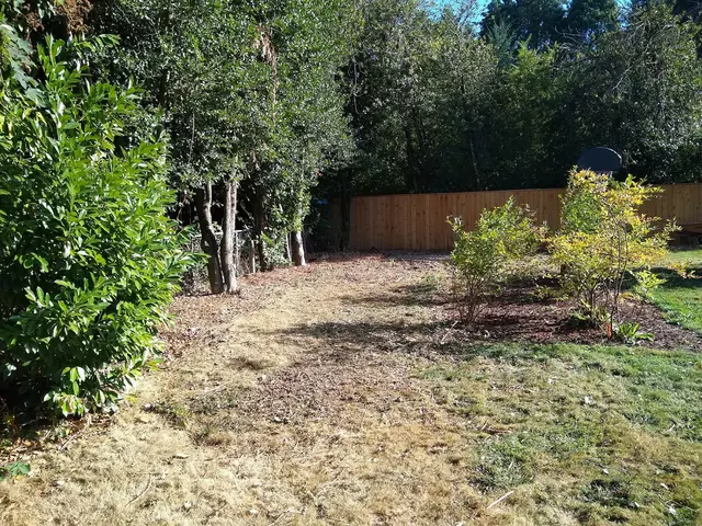 G.I. Junk Removal — customer photo 11